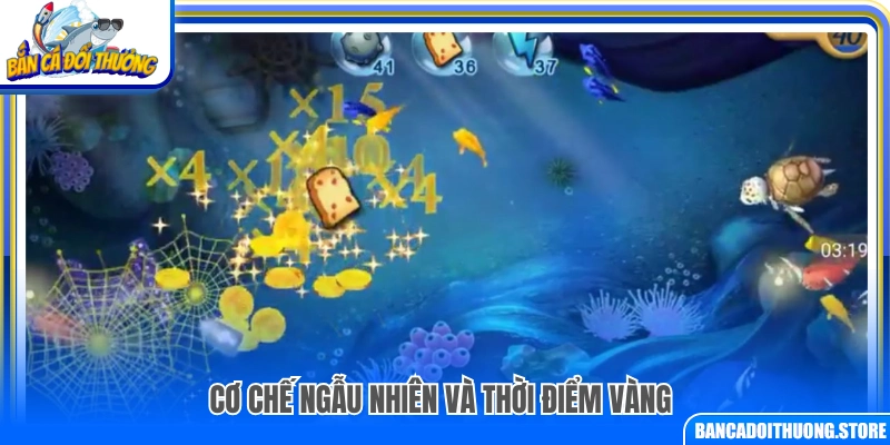 Yếu tố ngẫu nhiên và thời cơ vàng