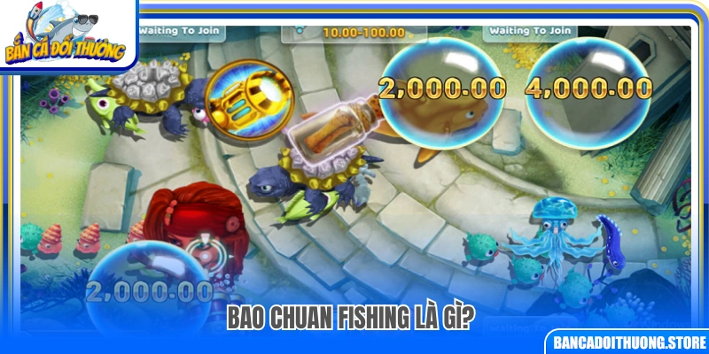 Tìm hiểu Bao Chuan Fishing là gì và điểm nổi bật